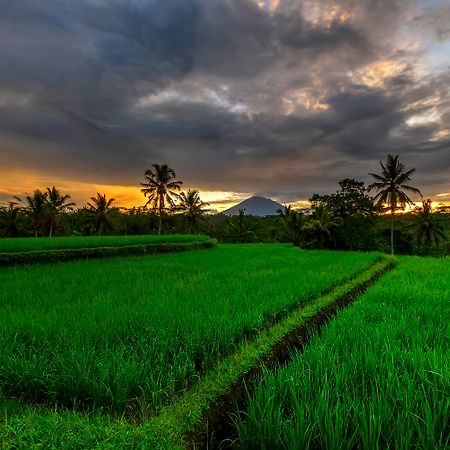 Kawi Resort A Pramana Experience Tegallalang  Eksteriør billede